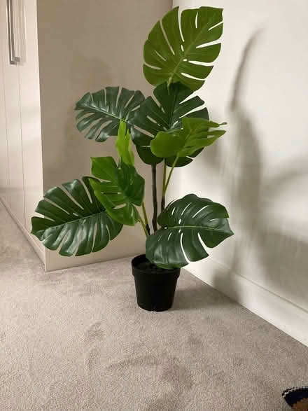 Photo of free Artificial plant (Kempston MK42) #1