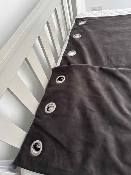 Photo of free Brown velvet curtains (Finsbury Park N4) #2