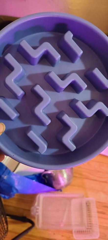 Photo of free Pet bowl slow feeder (blue) (South Evanston) #1