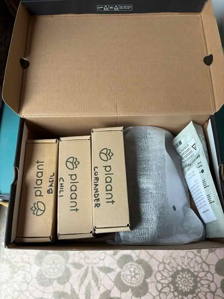 Photo of free Plaant herb growing (W4) #3