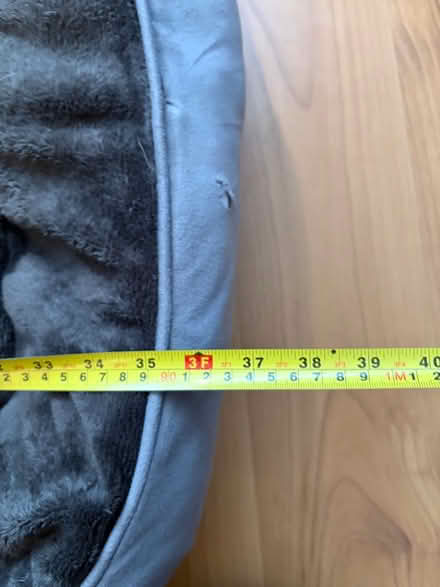 Photo of free Dog bed (medium) (Stretton Sugwas, HR4) #3