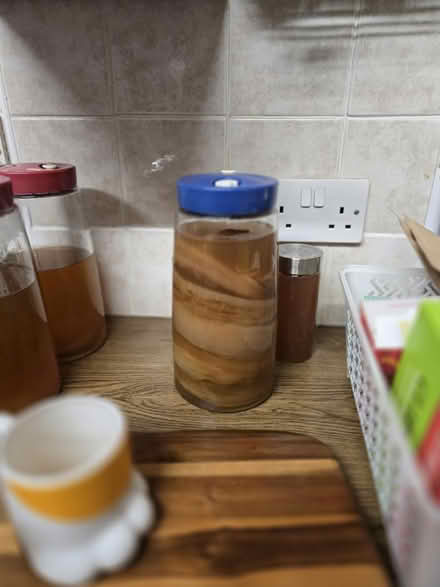 Photo of free Kombucha SCOBY (Hooe) #1