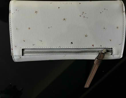 Photo of free Brand new purse (Rugby, CV22) #2