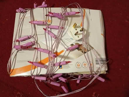 Photo of free Purple-ish fairy lights (Llanbister) #2