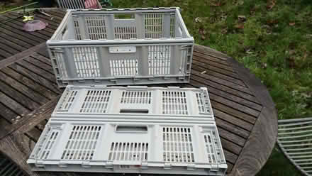 Photo of free Folding crates 600x400mm (South Bretton) #1