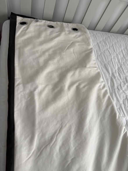 Photo of free Brown velvet curtains (Finsbury Park N4) #3