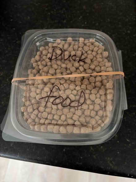 Photo of free Duck food - small container (SG4 hitchin) #1