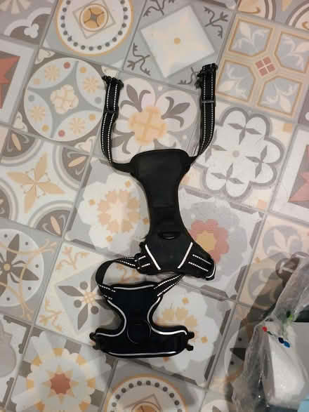 Photo of free Small harness and reversible coat (Teignmouth TQ14) #2