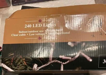 Photo of free Christmas lights 3 (Fawdon NE3) #1