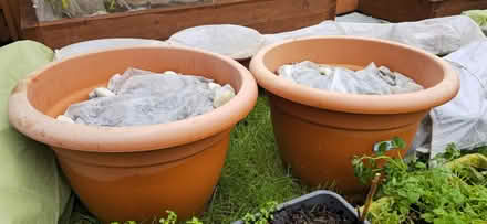 Photo of Super-large garden pots (Bishops Tachbrook CV34) #1