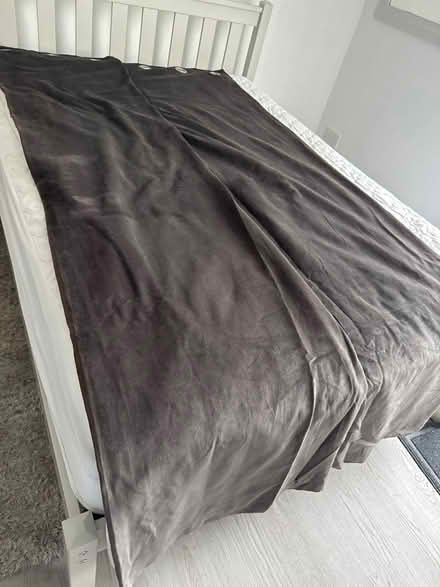 Photo of free Brown velvet curtains (Finsbury Park N4) #1
