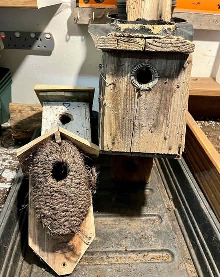 Photo of free Bird nestboxes (Hatfield AL10) #1