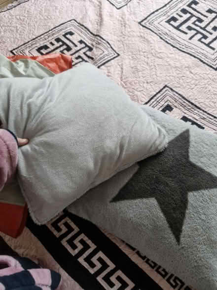 Photo of free Cushions (Hanworth RG12) #2