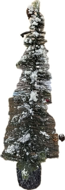 Photo of free Cute table top evergreen (NE Vienna) #1