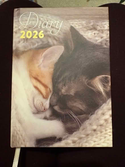 Photo of free 2026 Diary (Southfields SW18) #1