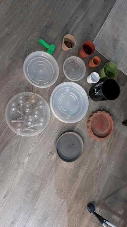 Photo of free Gardening bits (W3) #1