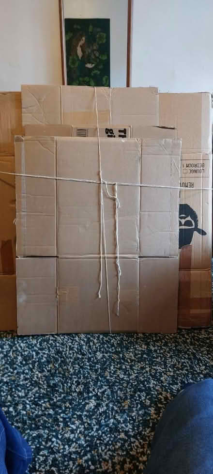 Photo of free Cardboard boxes for moving house (SE20) #2