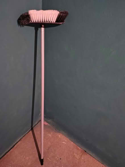 Photo of free Broom (south Harlow) #1