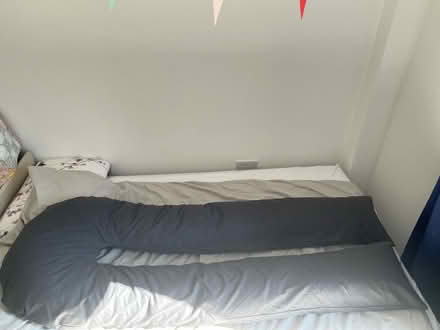 Photo of free Pregnancy pillow (SW155DU) #3