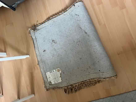 Photo of free Mat (100cm x 200cm approx) (Onslow Village) #2