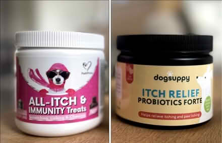 Photo of Itchy Tablets for dogs (Clive Vale TN35) #1