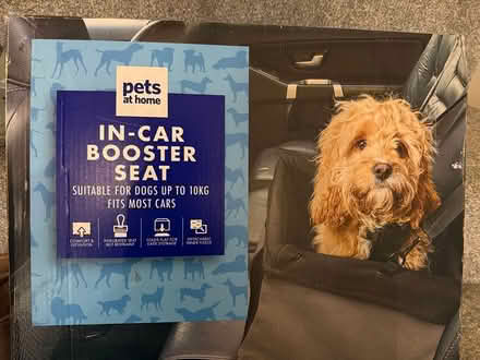 Photo of free Dog in car booster seat (Carshalton) #1