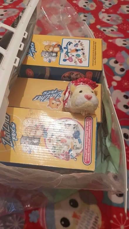 Photo of free Zhu zhu children's toy hamsters set (Oxford ox4) #2