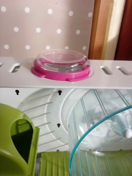 Photo of free Hamster cage (RG30) #2