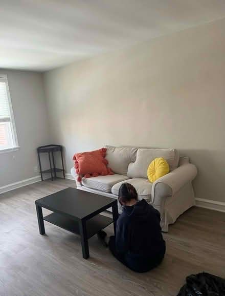 Photo of free ikea loveseat (19119) #3