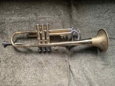 Photo of free Cornet (Fairfield Park) #2