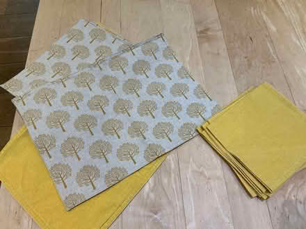 Photo of free reversible fabric table mats/napkin (Redhill Meadvale RH1) #1