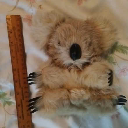 Photo of free Koala bear soft toy (Crawley RH10) #2