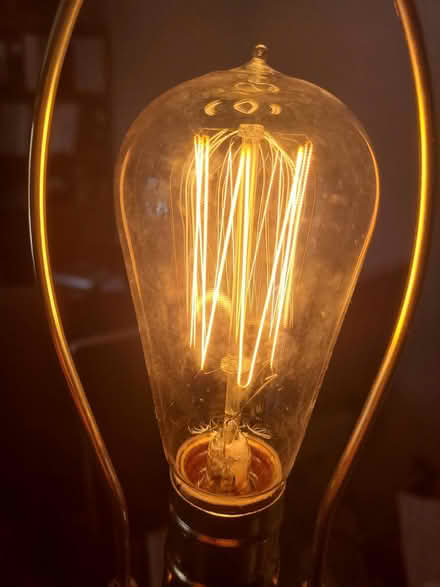 Photo of free Edison light bulbs (Methuen, MA) #2
