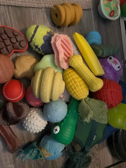 Photo of free Barkbox Super Chewer assorted toys (Lombard) #1