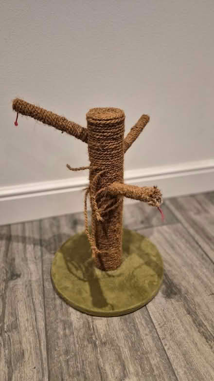 Photo of free Cat Scratching / Climbing Posts (Garston WD25) #1