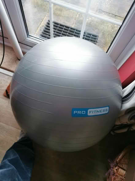 Photo of free Fitness ball (Newnham RG27) #1