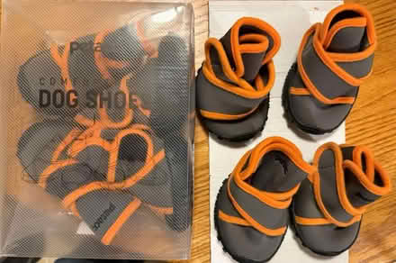 Photo of free Petaac Dog Shoes (Maynard) #1