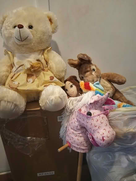 Photo of free soft toys (Dukinfield) #1