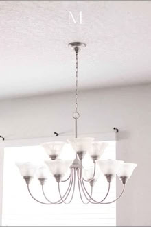 Photo of free 9 Light Chandelier (Oviedo Mall) #2