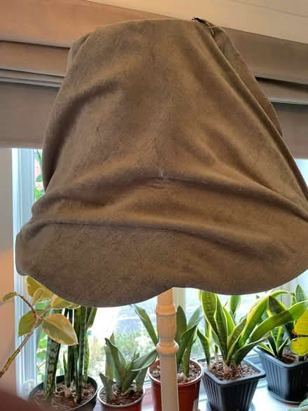 Photo of free Lamp (Boughton vale CV23) #4