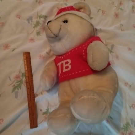 Photo of free Jingle Bear (Crawley RH10) #3