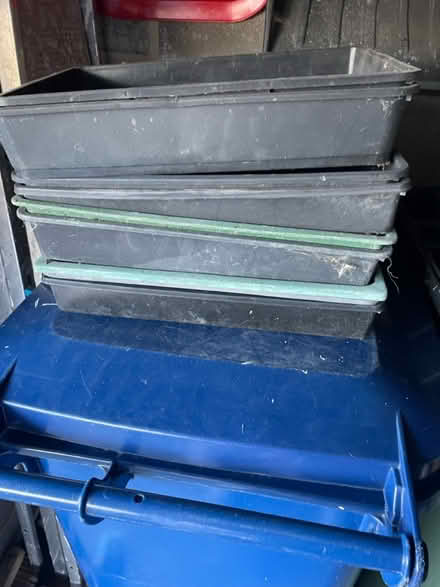 Photo of free Seed trays (Fawdon NE3) #1