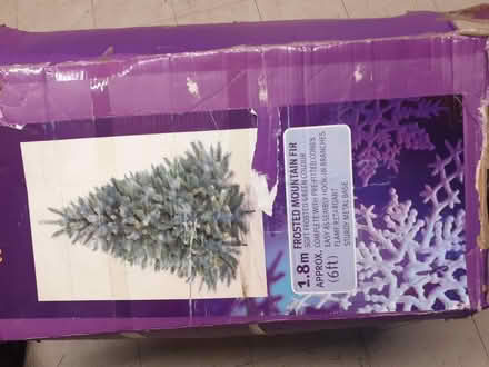 Photo of free 2 Christmas Trees (Piddington HP14) #1