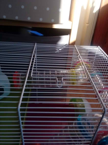 Photo of free Hamster cage 2tier with tubes (RG30) #2