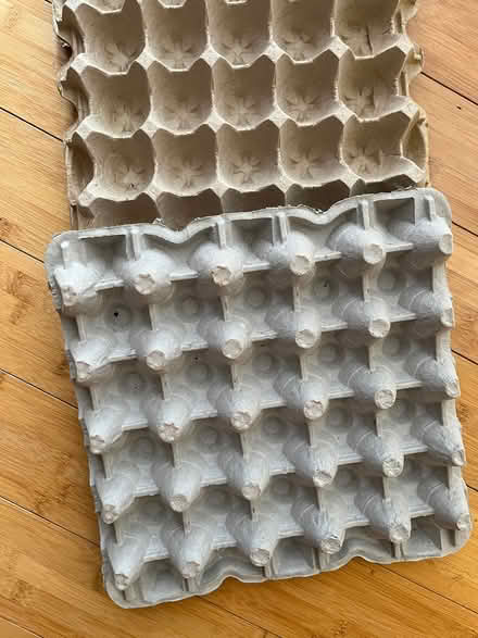 Photo of free Open egg cartons (20853) #1