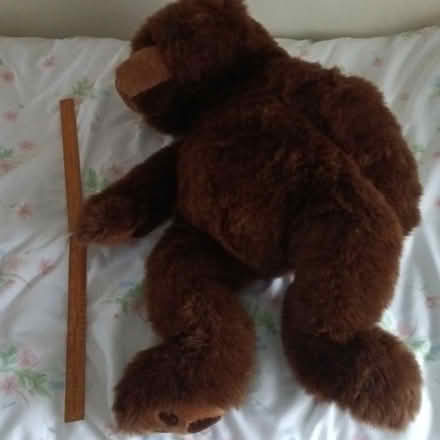Photo of free Giant brown bear soft toy (Crawley RH10) #1