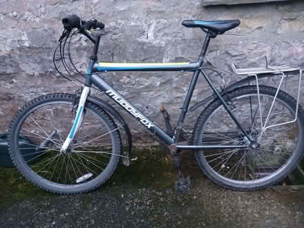 Photo of free Adults bike (Netherfield, Kendal LA9) #1