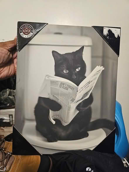 Photo of free Picture (Bronx) #1