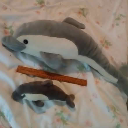 Photo of free Dolphin and baby soft toys (Crawley RH10) #2