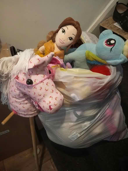 Photo of free soft toys (Dukinfield) #3